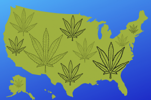 United States map with marijuana leaves adorning it