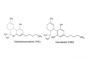THC and CBD molecule drawings