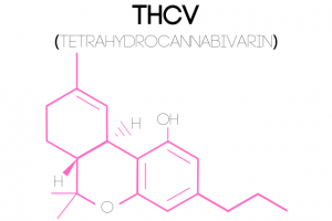 An illustration of a Tetrahydrocannabivarin (THCV) molecular structure