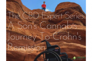 Header image for CBD expert series interview with Wendy Turner