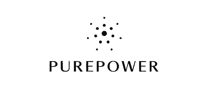 PurePower Review