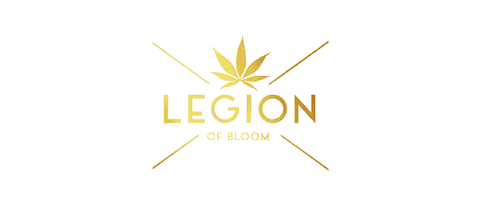 The Legion of Bloom Review