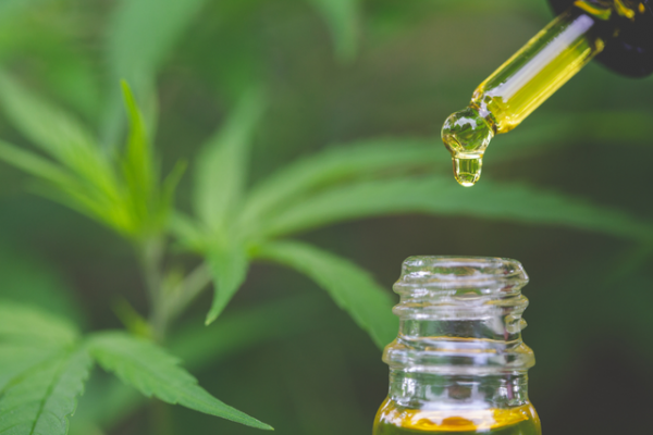 CBD Concentrates for Beginners: How to Get Started